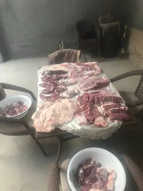 Qurbonlik uchun qochqorlar