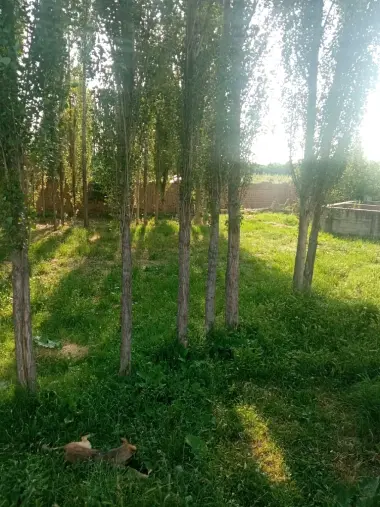 Продам участок земли в Кибрайском районе Байткурган