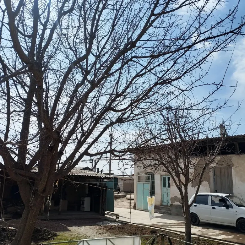 Zudlik bilan ut sotiladi 75000$ narxi kelishiladi
