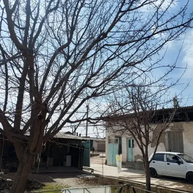 Zudlik bilan ut sotiladi 75000$ narxi kelishiladi