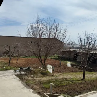 Zudlik bilan ut sotiladi 75000$ narxi kelishiladi